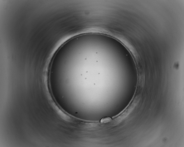 X0000103281438200809051520