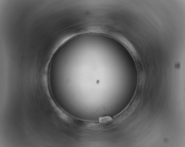 X0000103281439200809051520