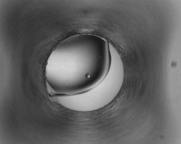 X0000103281441200809051520