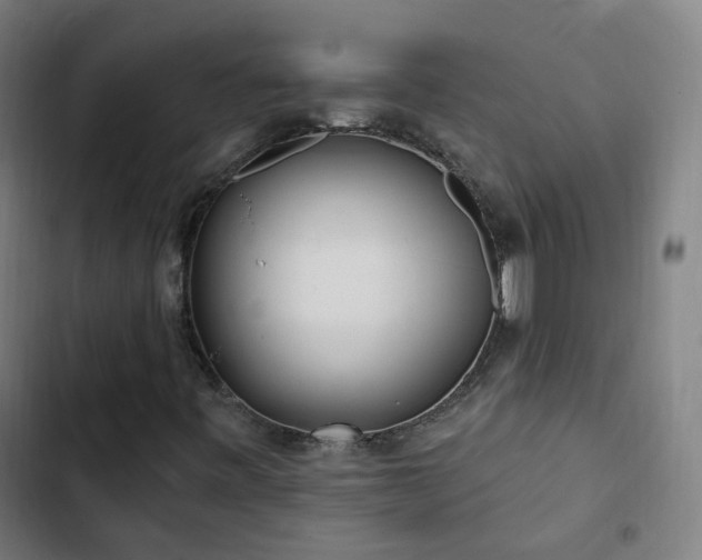 X0000103281443200809051520