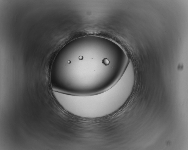 X0000103281444200809051520