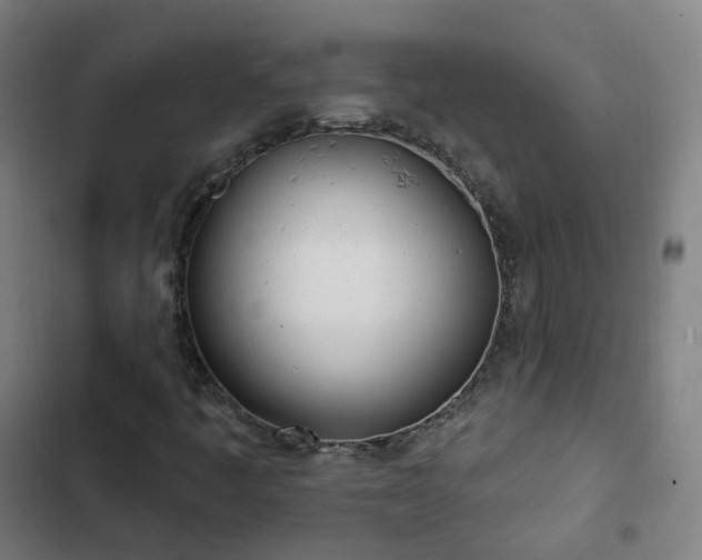 X0000103281445200809051520