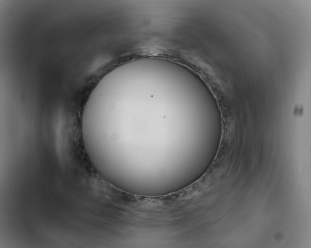 X0000103281446200809051520