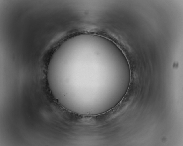 X0000103281447200809051520