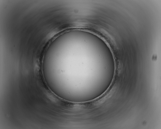 X0000103281449200809051520