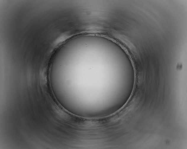 X0000103281451200809051520