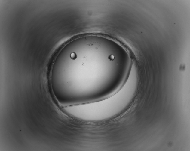 X0000103281452200809051520