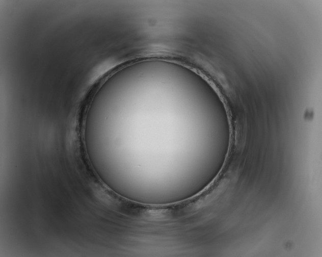 X0000103281453200809051519