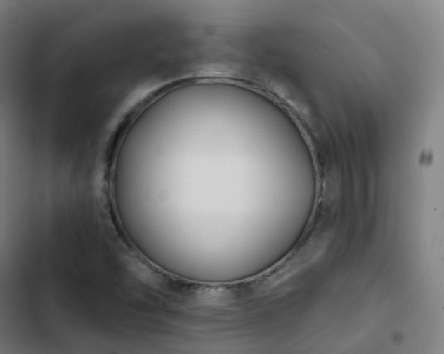 X0000103281454200809051519