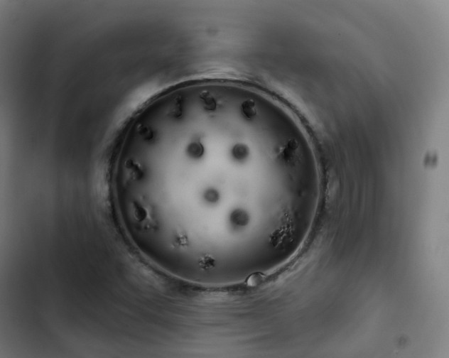 X0000103281455200809051519