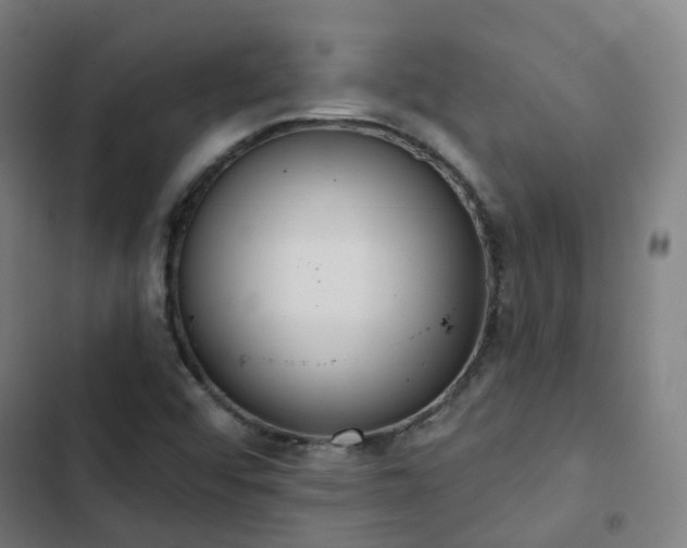 X0000103281456200809051519