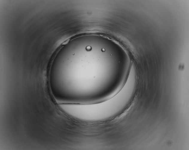 X0000103281457200809051519