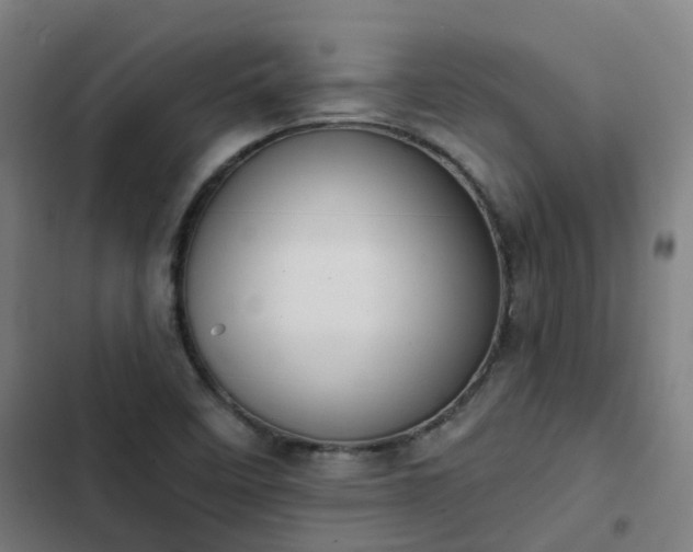 X0000103281458200809051519