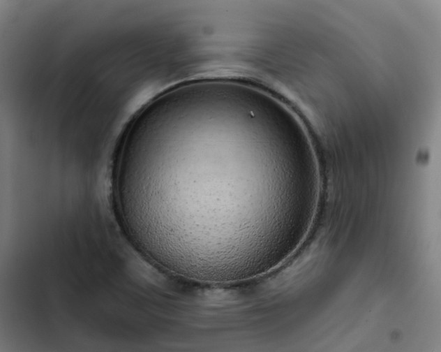 X0000103281459200809051519