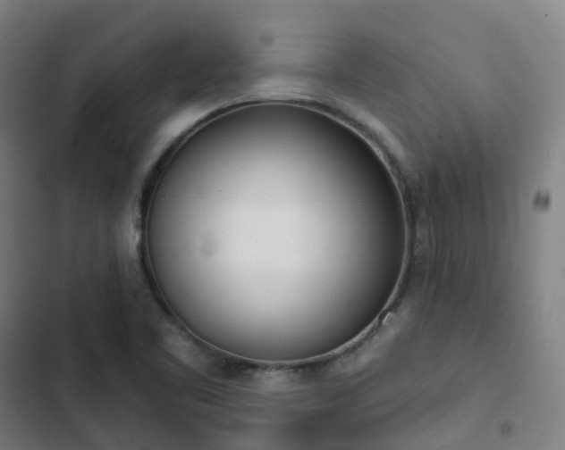 X0000103281461200809051519