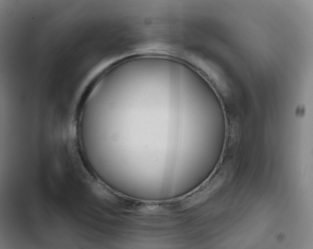 X0000103281462200809051519