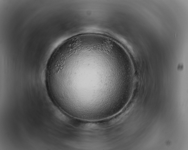 X0000103281463200809051519