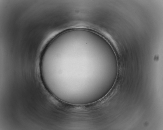 X0000103281464200809051519