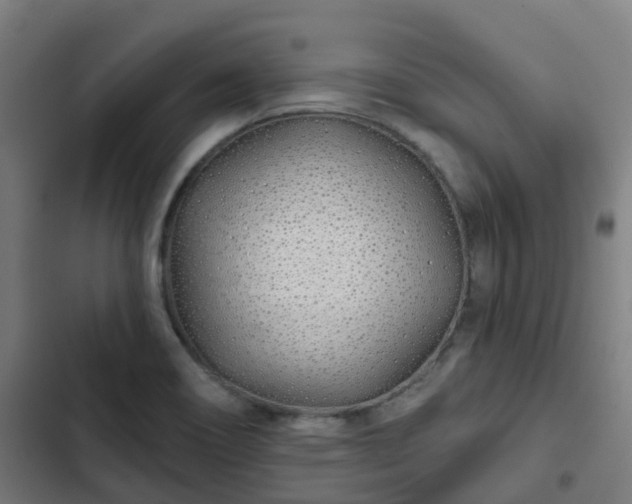 X0000103281466200809051519