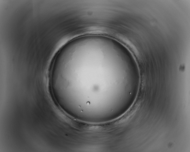 X0000103281467200809051519