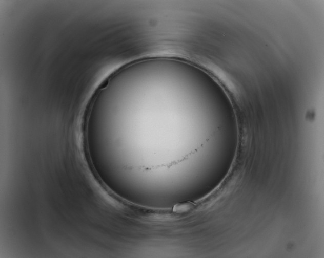 X0000103281468200809051519