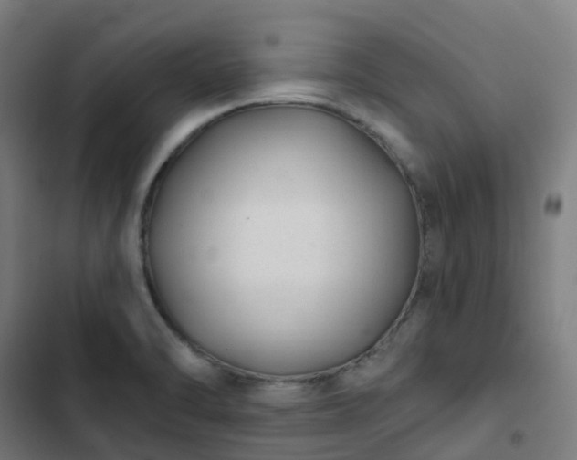 X0000103281470200809051519