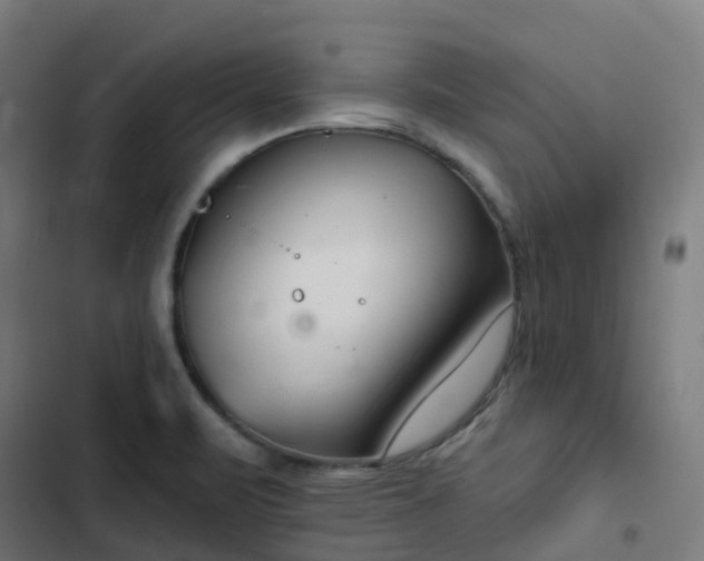 X0000103281471200809051519