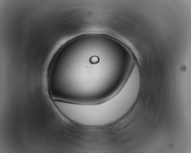 X0000103281472200809051519