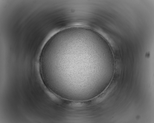 X0000103281474200809051519