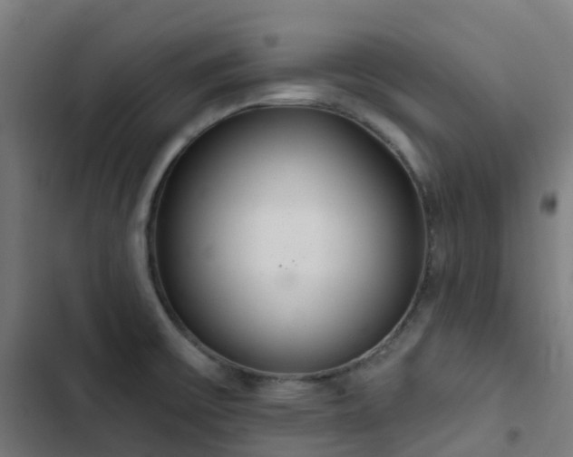 X0000103281475200809051519