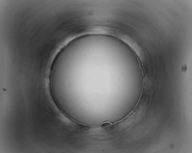 X0000103281477200809051519