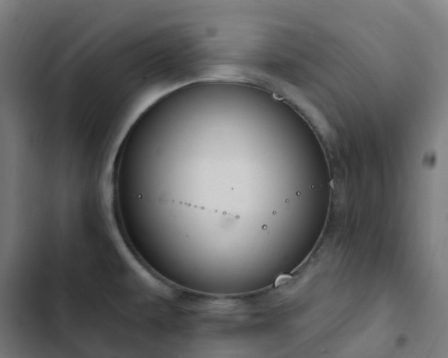 X0000103281479200809051519