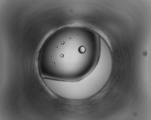 X0000103281480200809051519