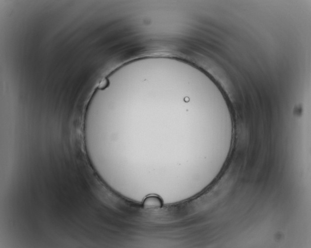 X0000103281481200809051519