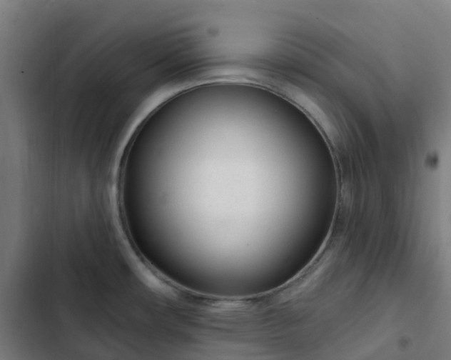 X0000103281482200809051519