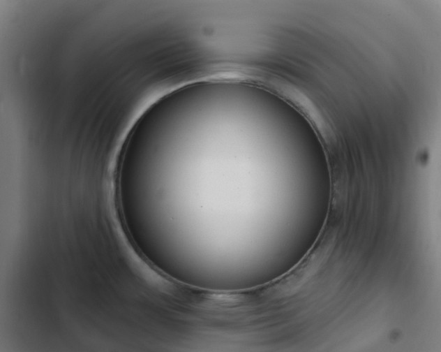 X0000103281483200809051519