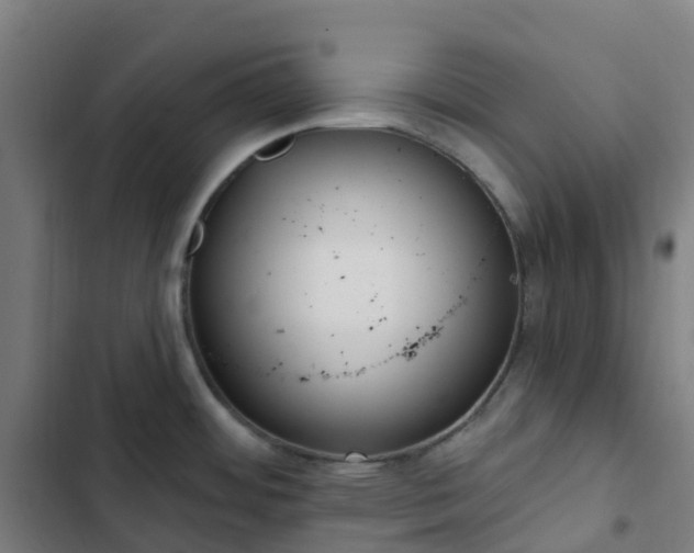 X0000103281484200809051519