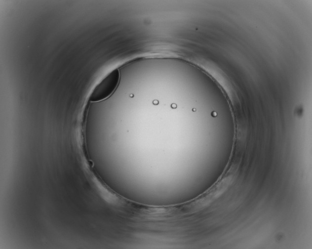 X0000103281485200809051519