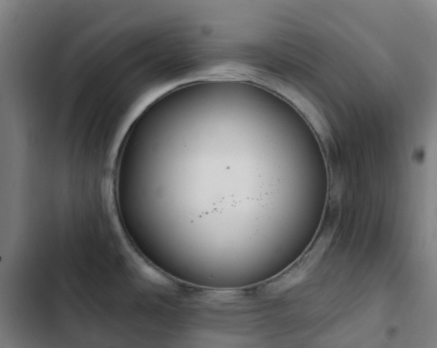 X0000103281486200809051519