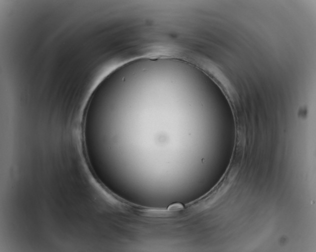 X0000103281487200809051519