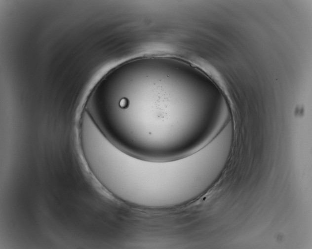 X0000103281488200809051519