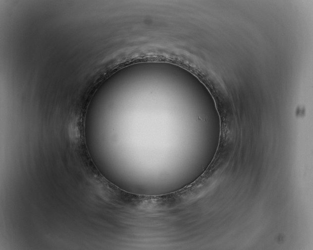 X0000103281490200809051518