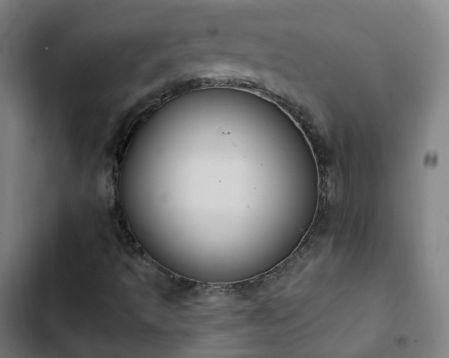 X0000103281493200809051518