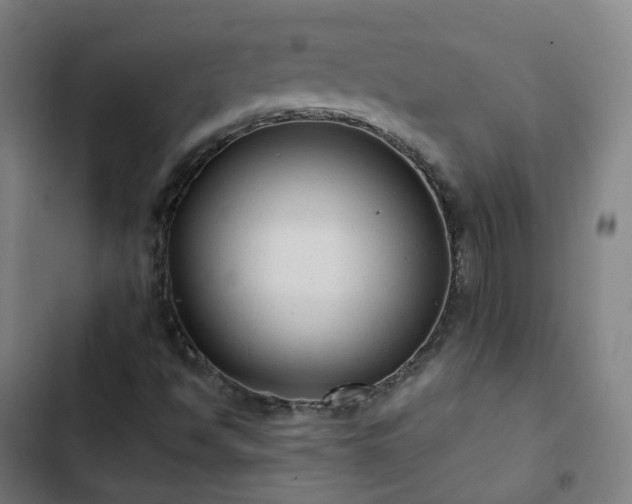 X0000103281494200809051518