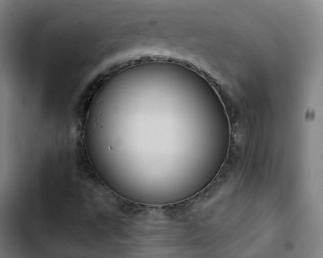 X0000103281495200809051518