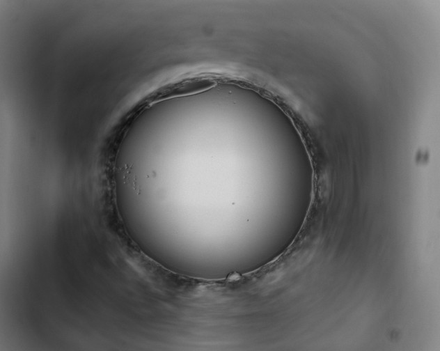 X0000103281496200809051518