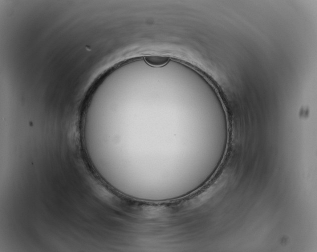 X0000103281498200809051518