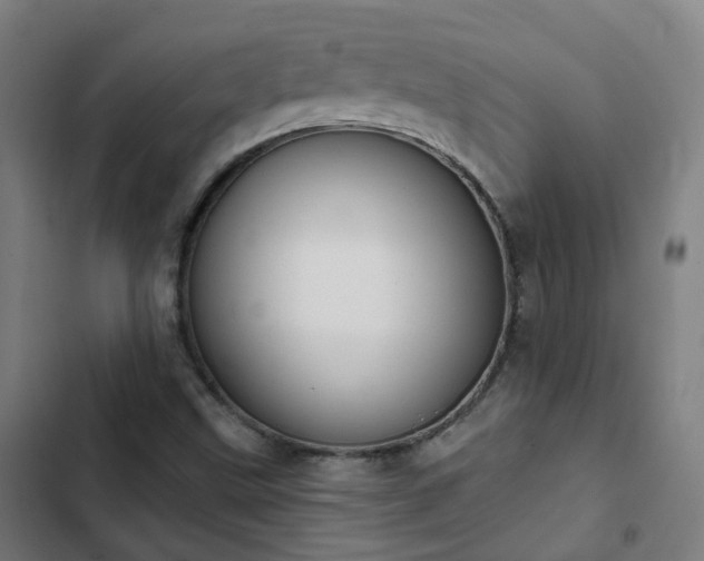 X0000103281499200809051518