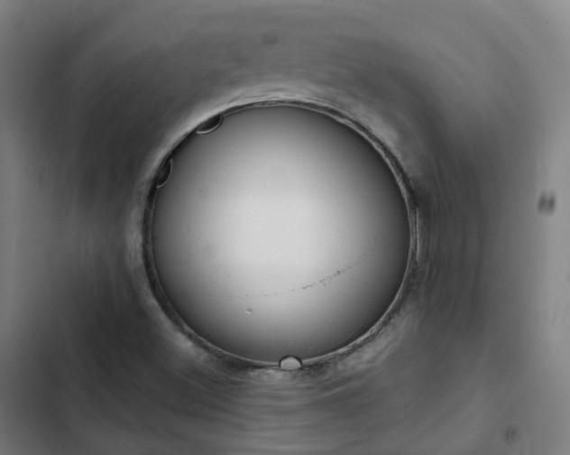 X0000103281500200809051518