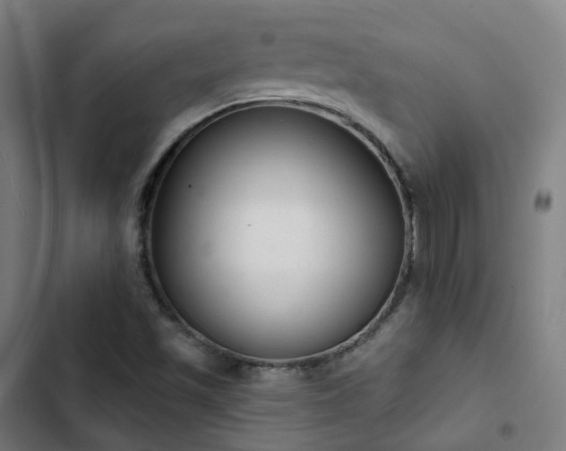 X0000103281501200809051518